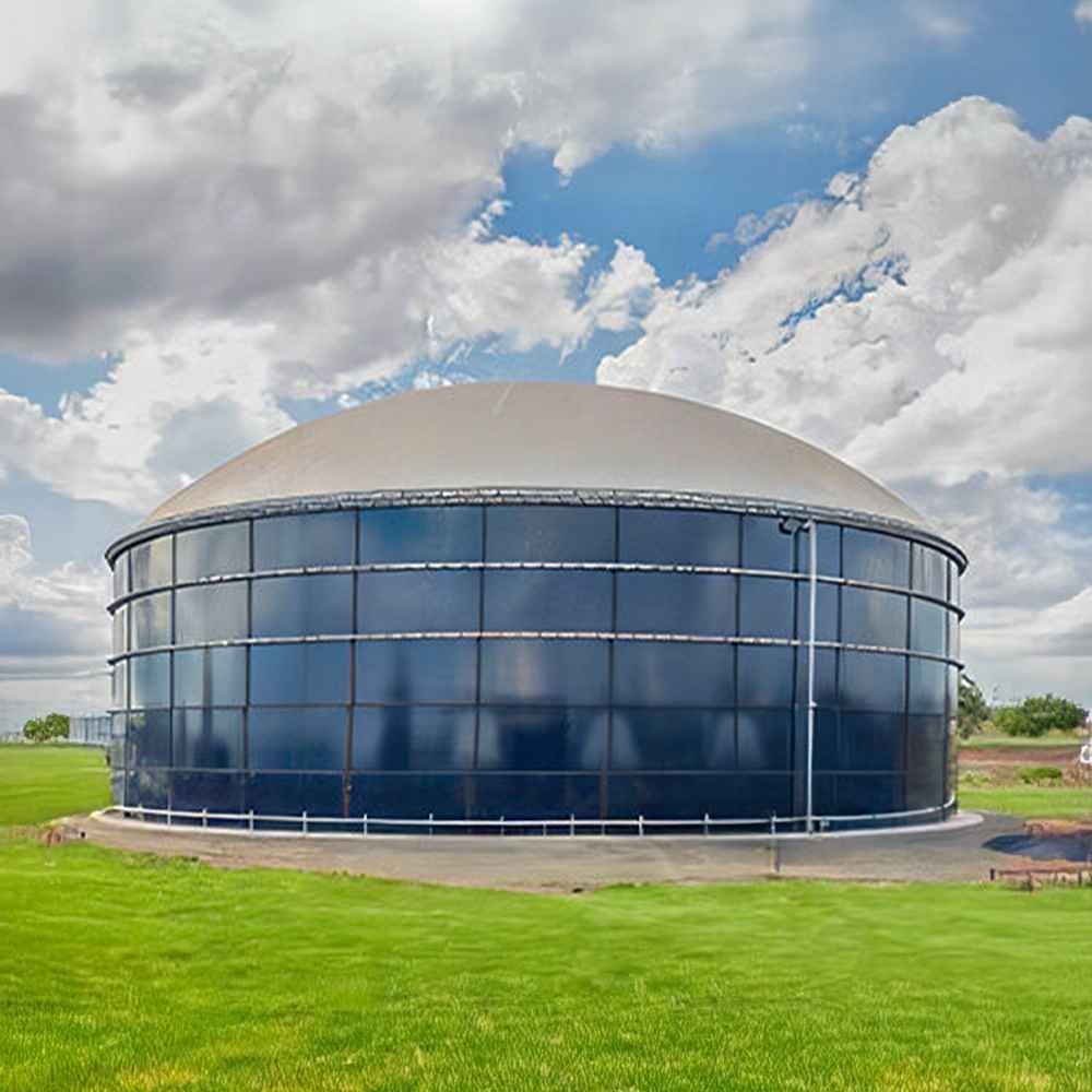 Biogasg manufacturer india